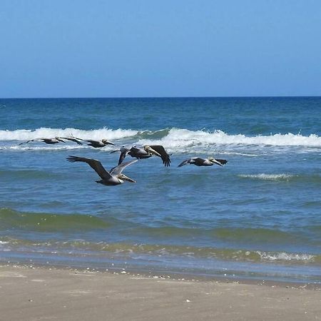 Barefoot Bungalow - Pet Friendly- 2 Bdrm Townhome Corpus Christi Esterno foto