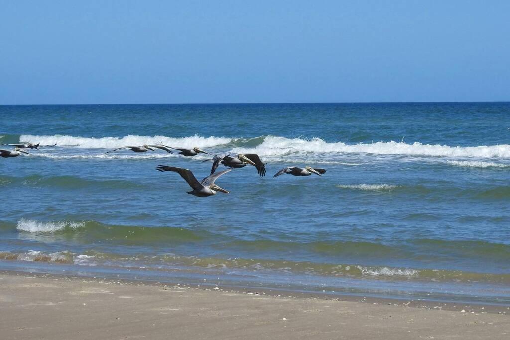 Barefoot Bungalow - Pet Friendly- 2 Bdrm Townhome Corpus Christi Esterno foto